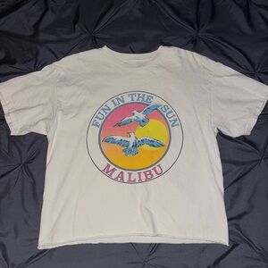 Brandy Melville Cropped T Shirt